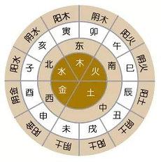 八字喜用神有啥意思吗五行命理食伤(八字喜用神是什么)